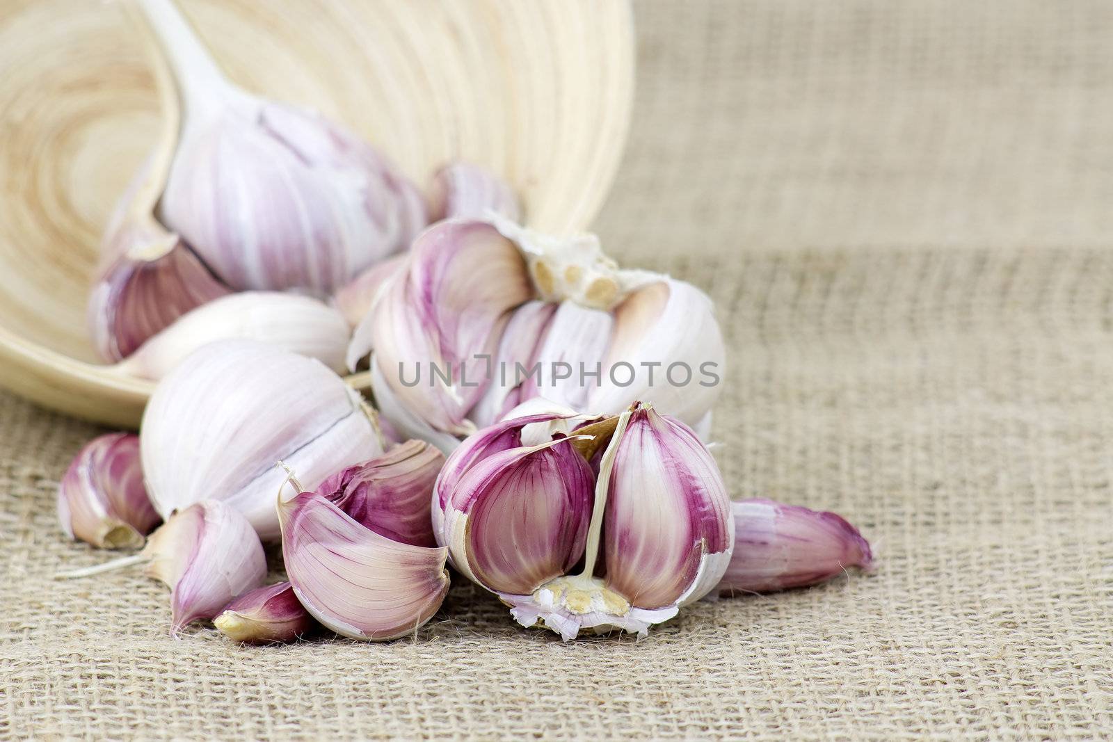 fresh garlic