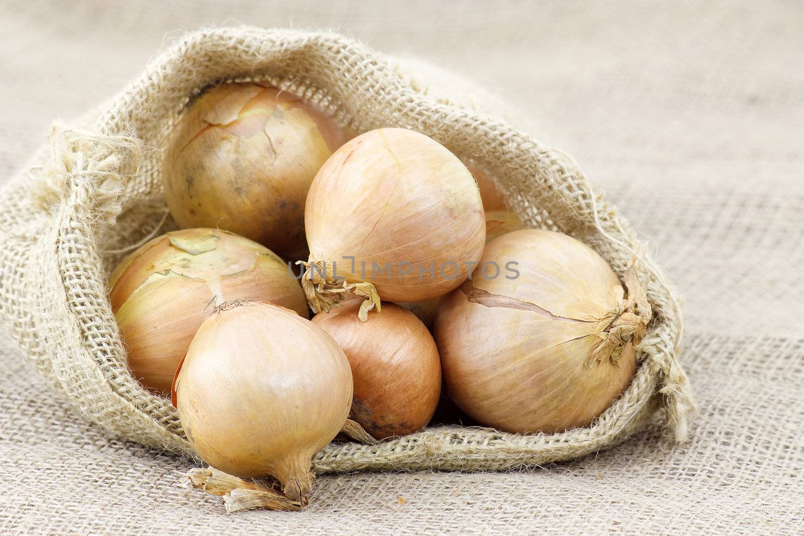 Fresh onions in package