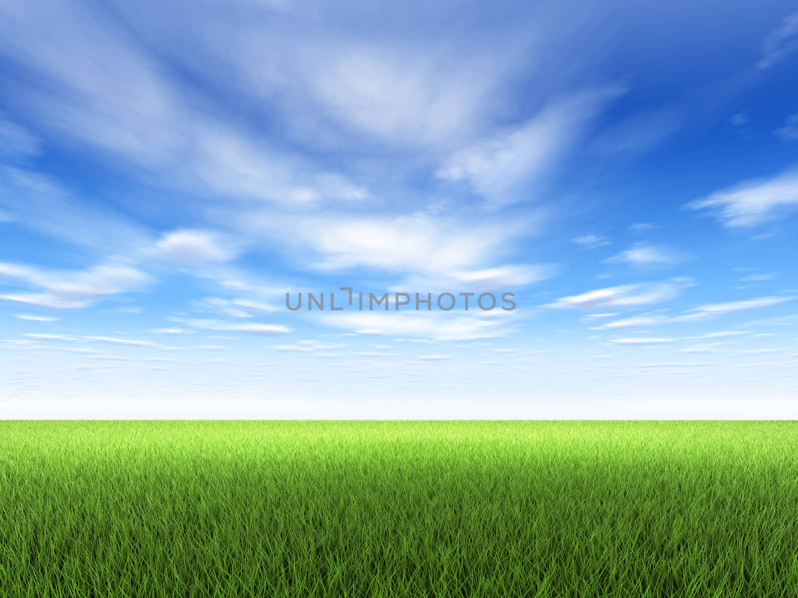 Field of fresh green grass and blue sky with clouds