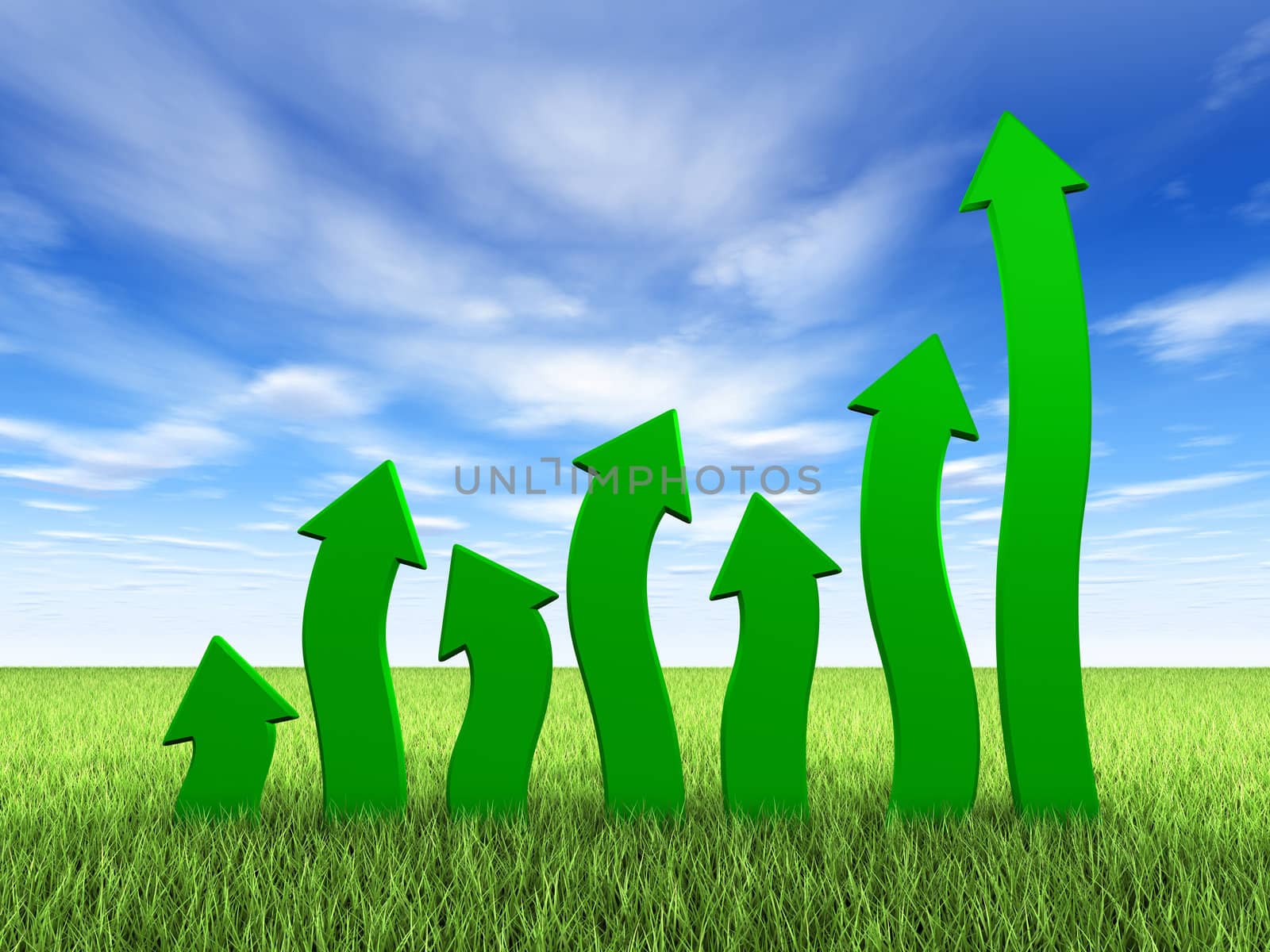 Green chart growing on grass field, blue sky and clouds