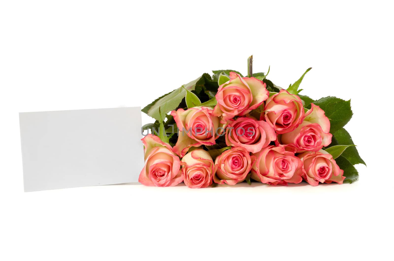 Bouquet of rose flowers with a blank gift card, isolated on white background. Write your own message.