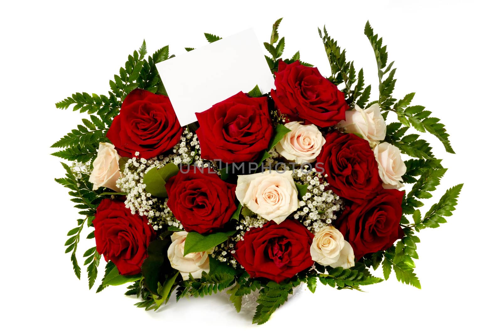 Roses with gift card by cfoto