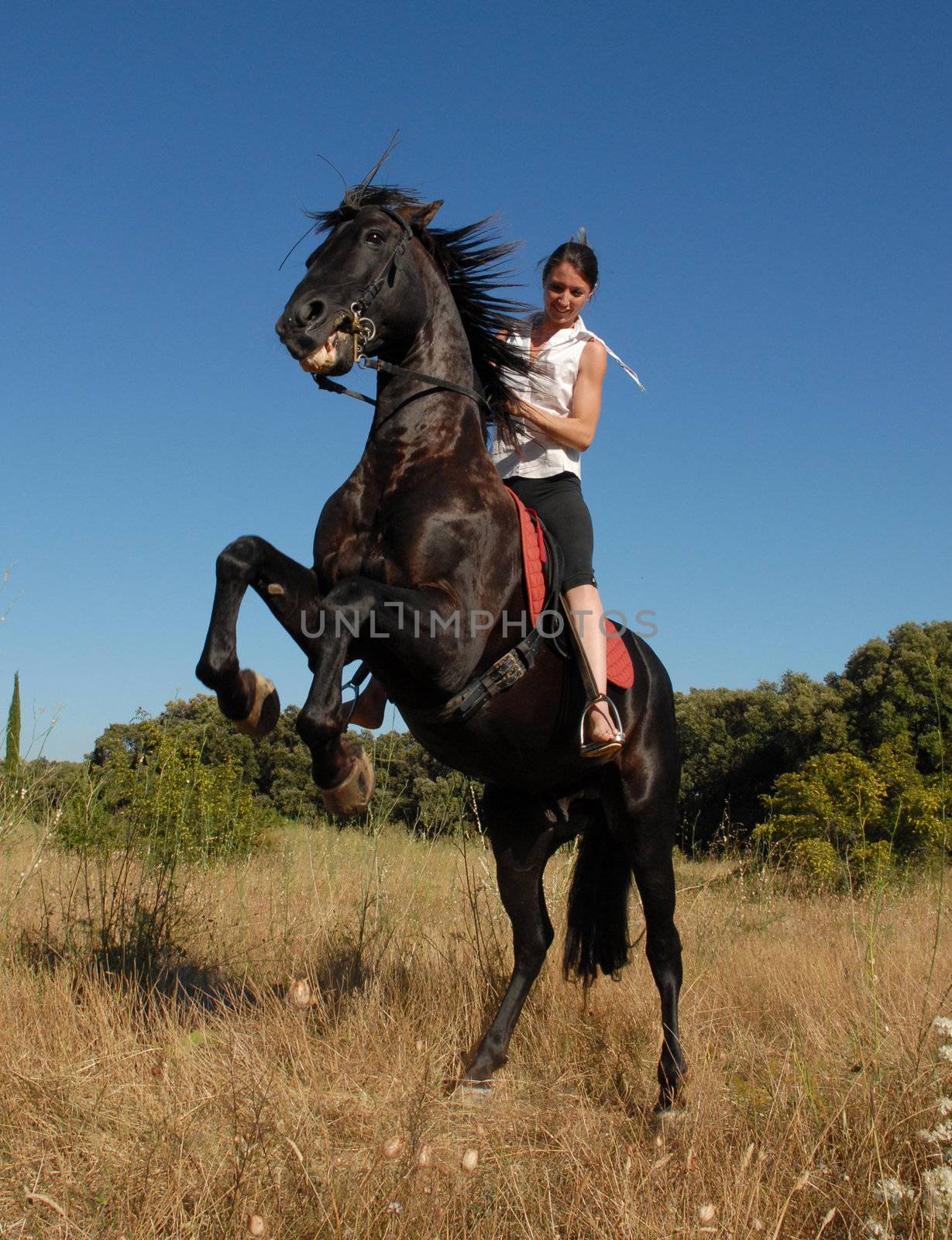 young woman and her rearing stallion outdoors