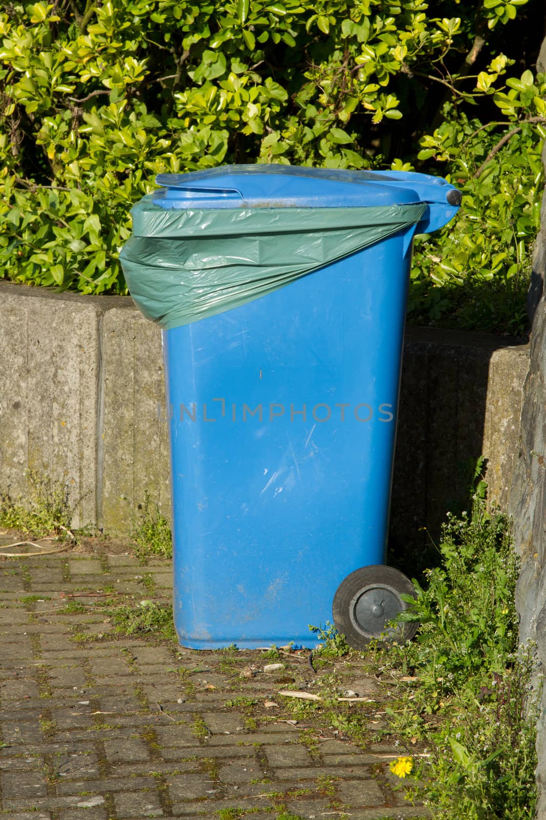 A blue plastic wheely bin with closed lid and green liner placed against a wall with weeds.