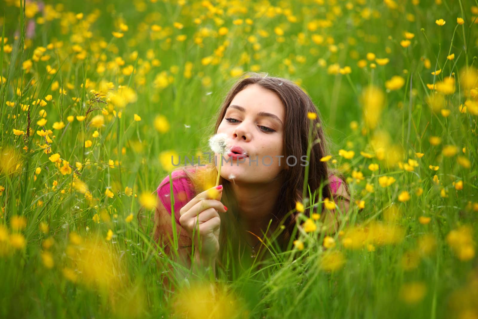 summer woman blow on dandelion 