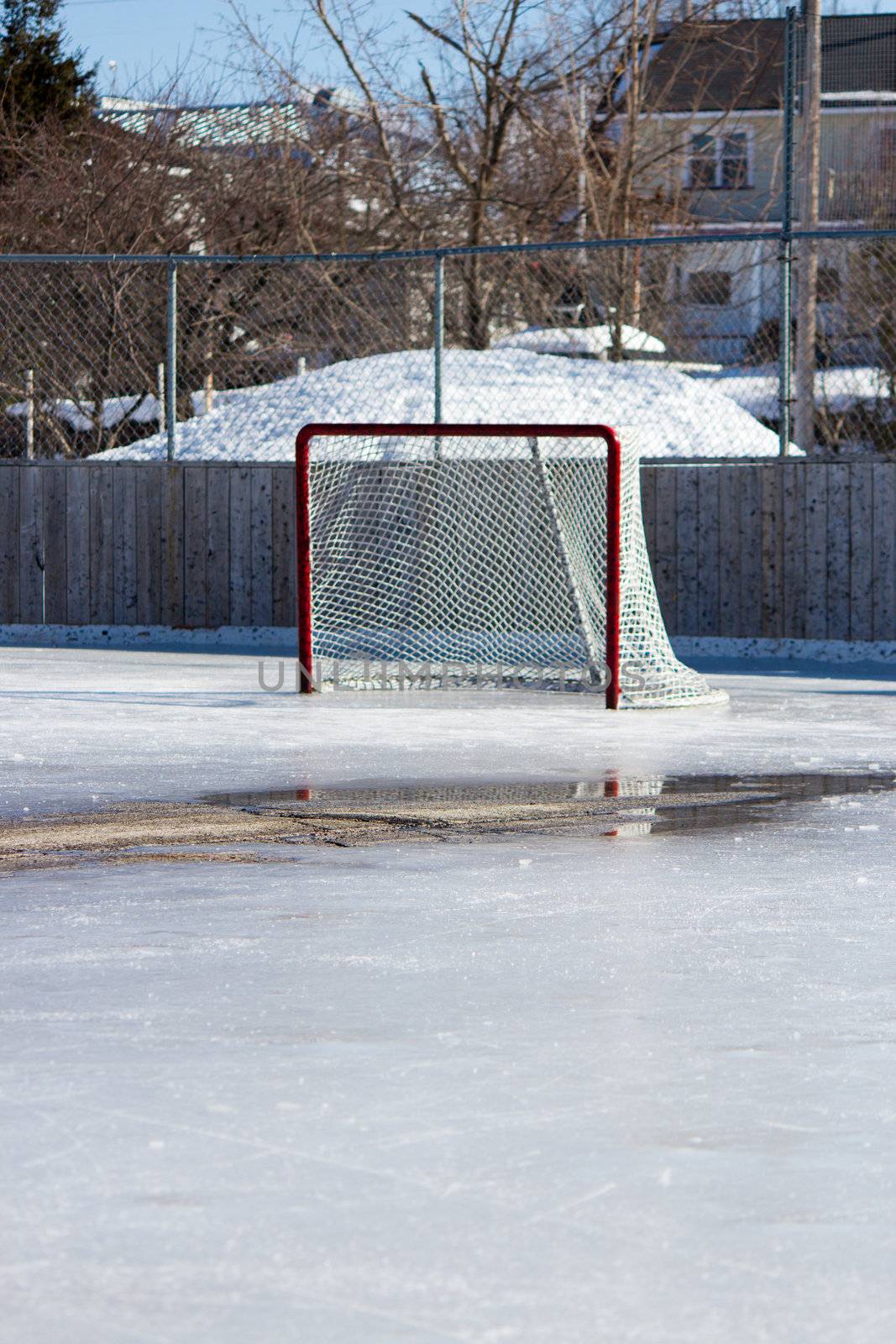 Ice hockey rink with hockey net on melting ice in the early spring.