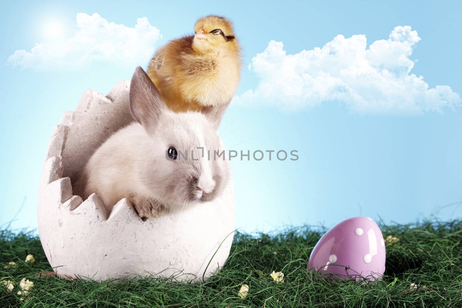 easter animals