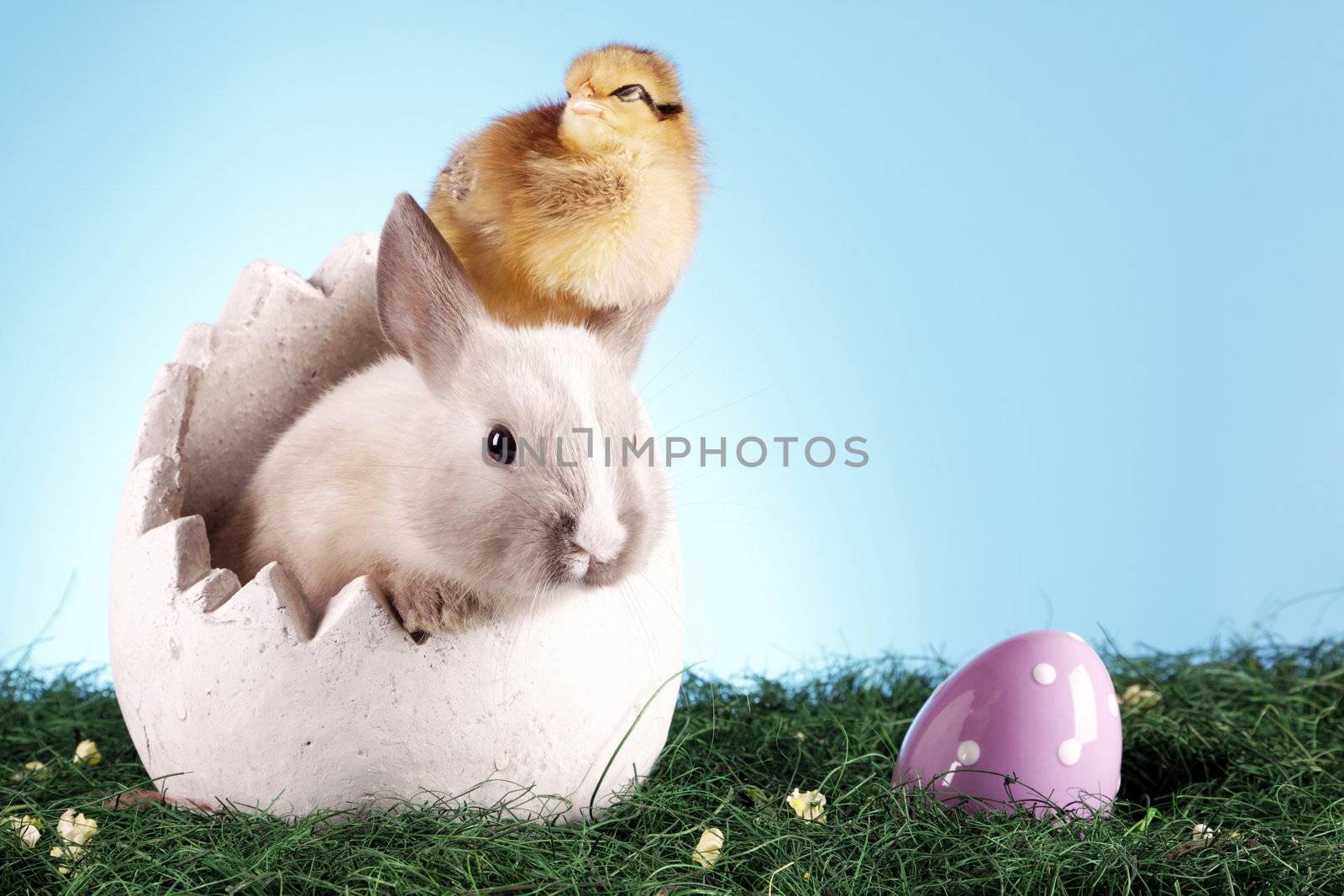 easter animals