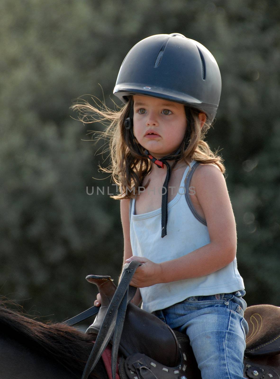 very little girl on her black horse with sport helmet
