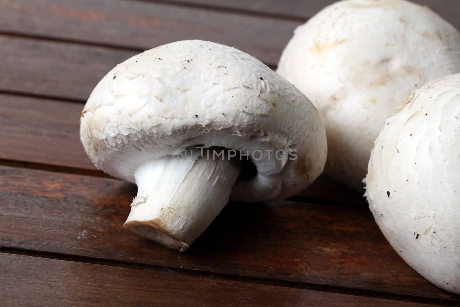 fresh white mushrooms by Teka77