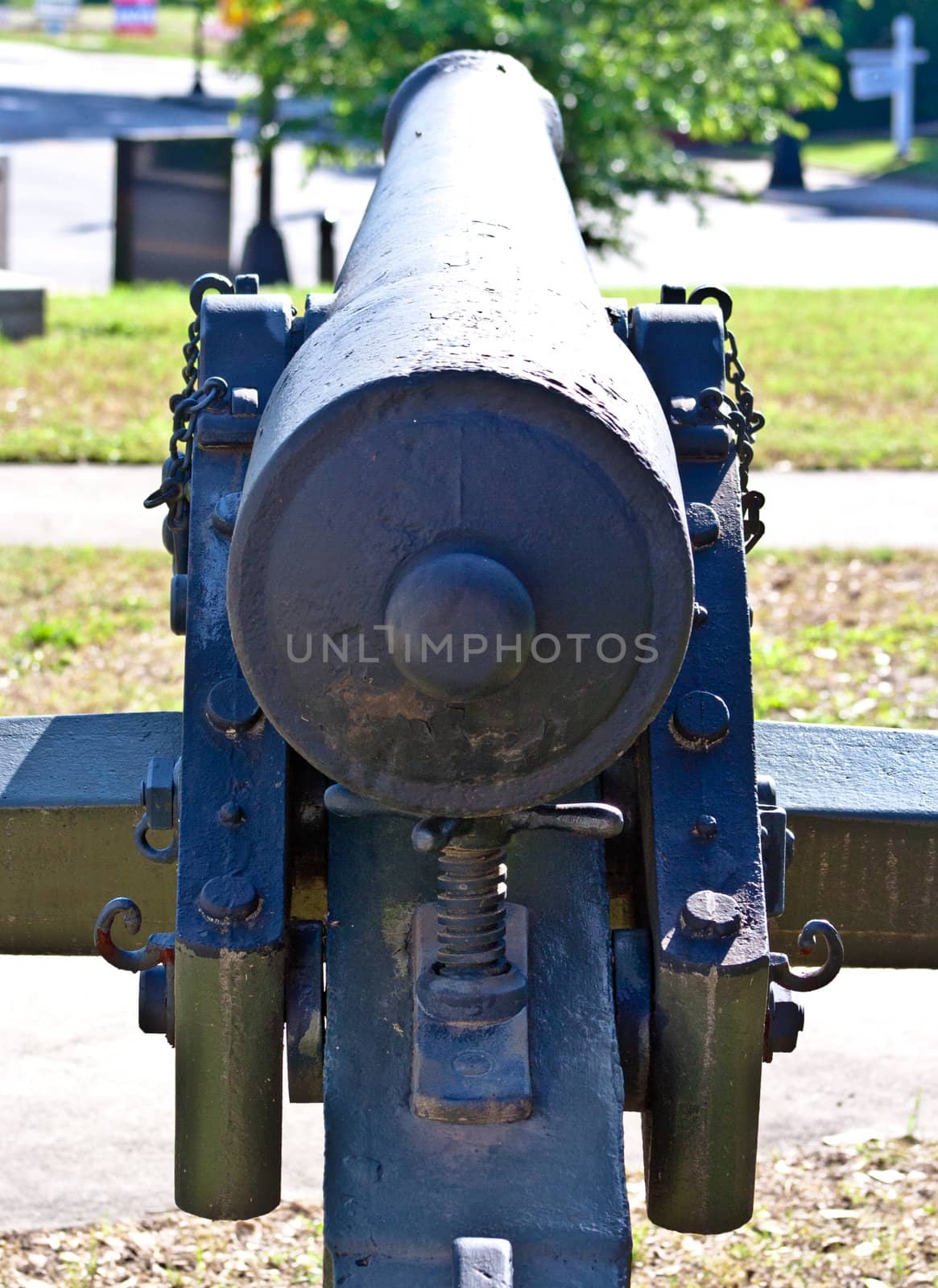 Patriot cannon persevered from the Civil war in the south.