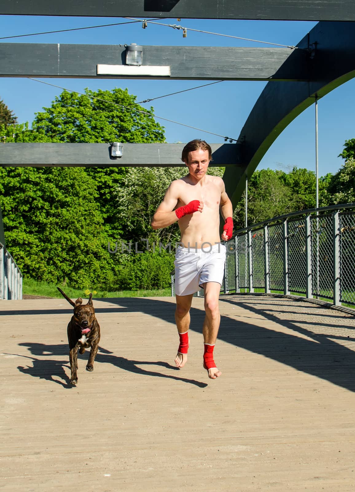 Training before the fight. Boxer and dog running outdoors. 