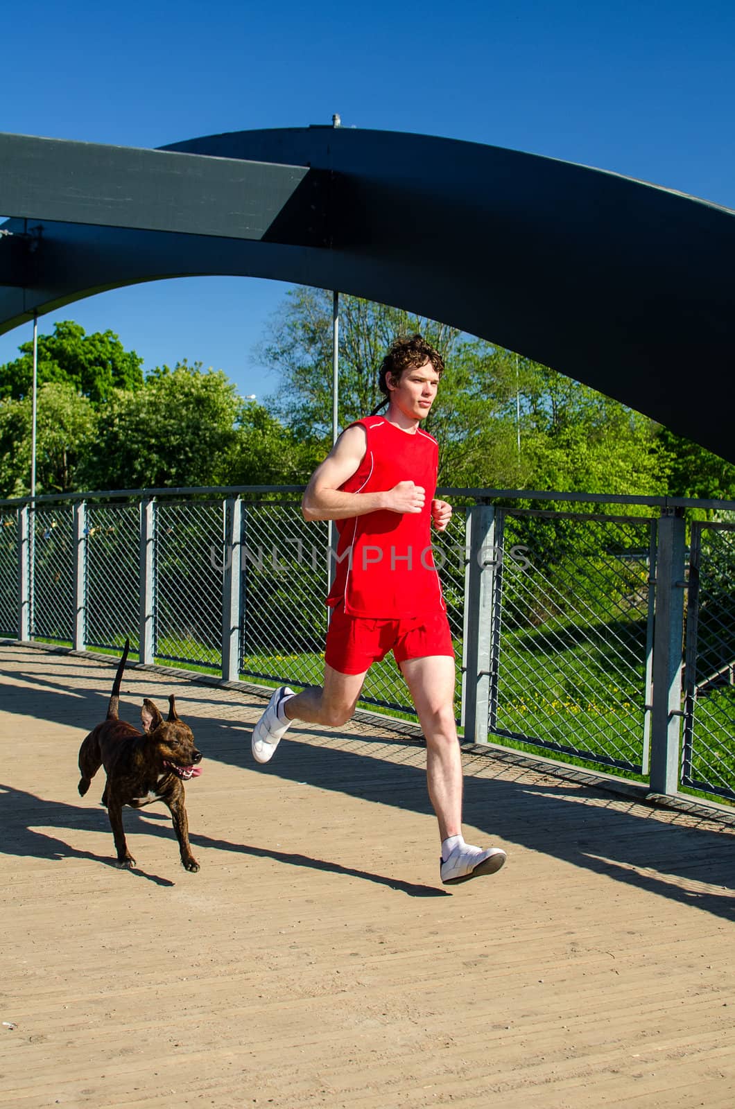 Sportsman and dog running outdoors