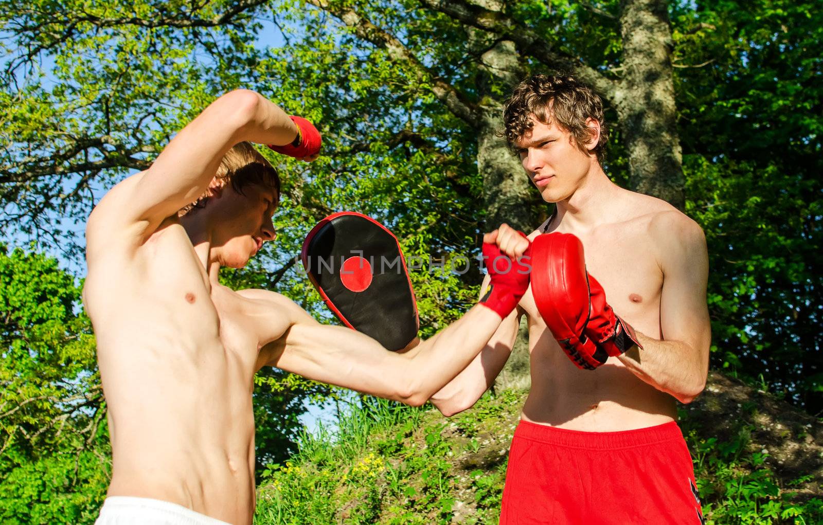 Two man training Muay thai in forest