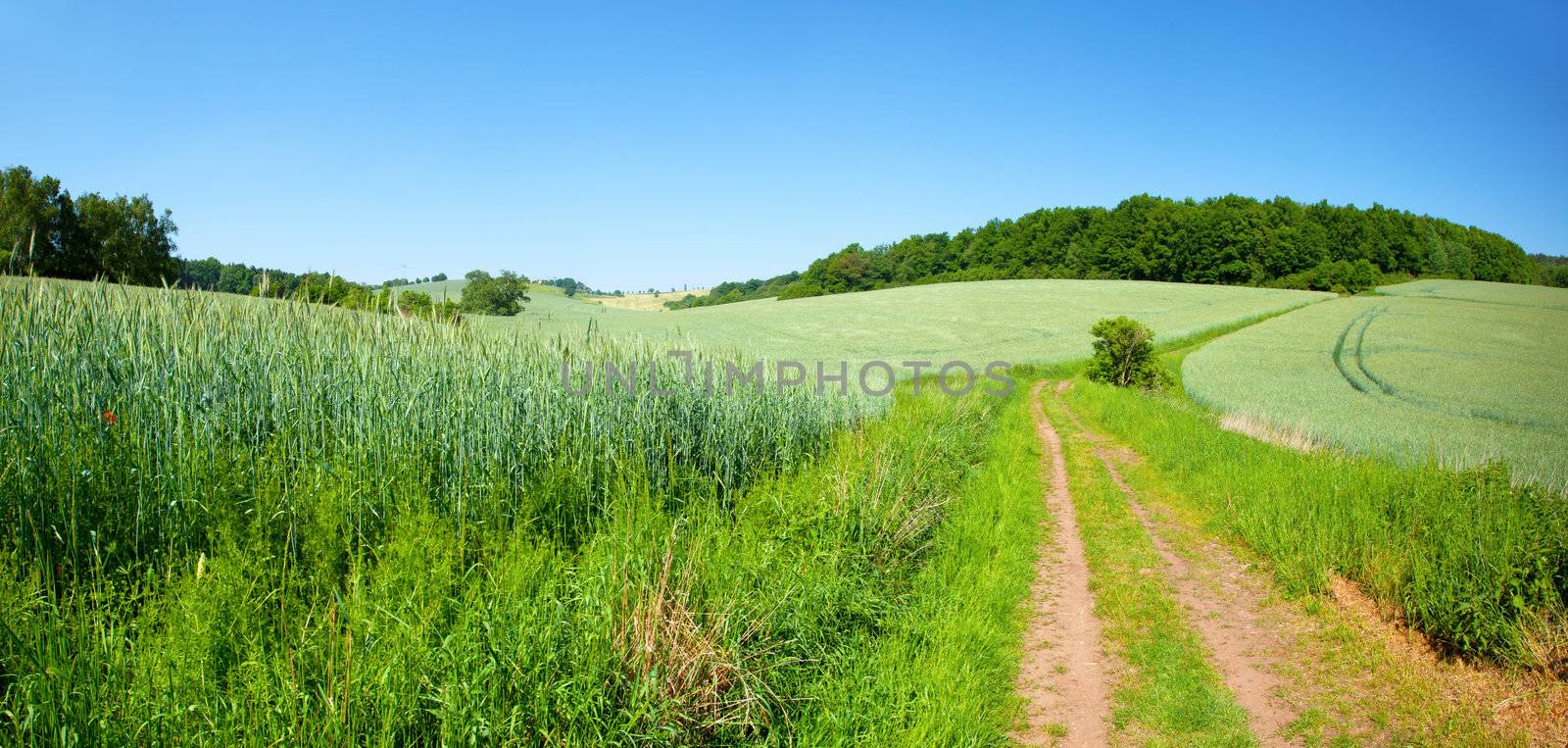 green field on blue sky by motorolka