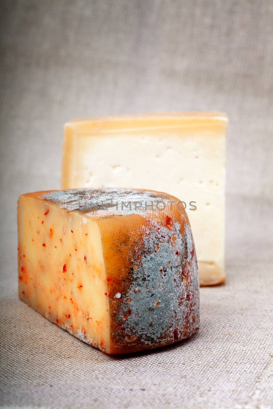 cheese by motorolka