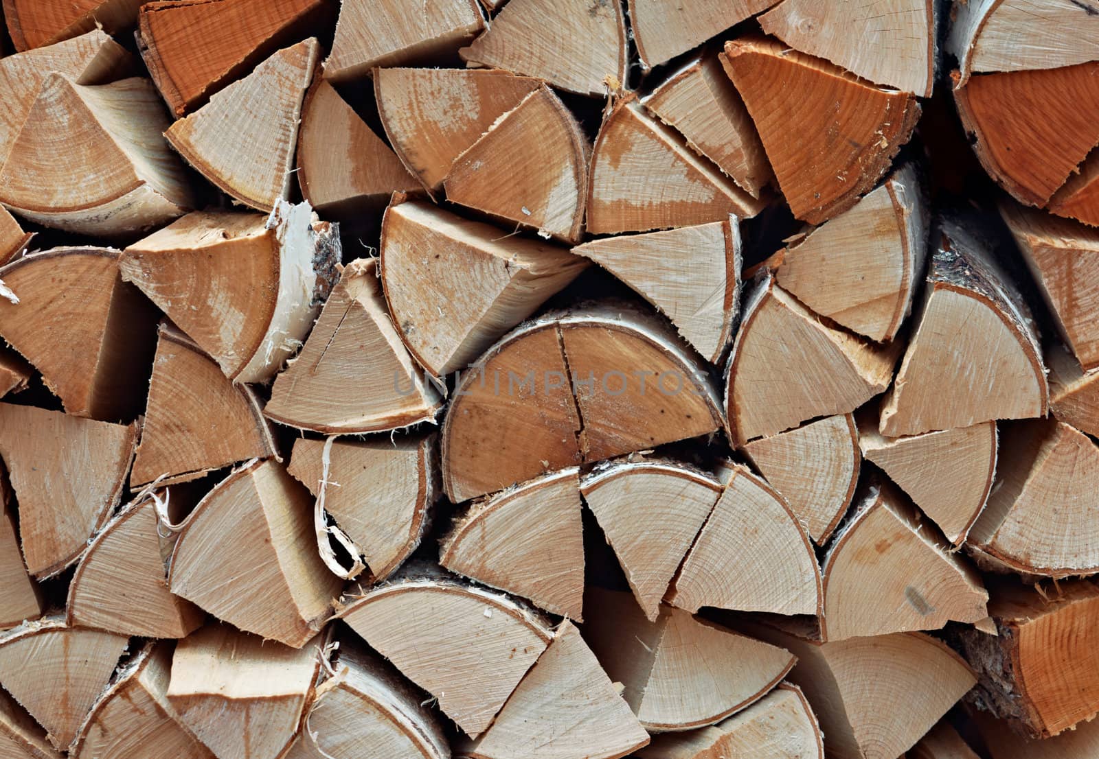 Stack of birch firewood by pashabo