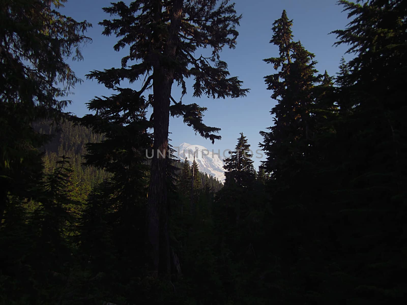 A photograph of a mountain landscape.