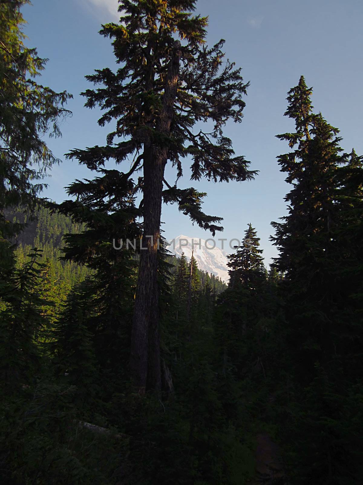 A photograph of a mountain landscape.