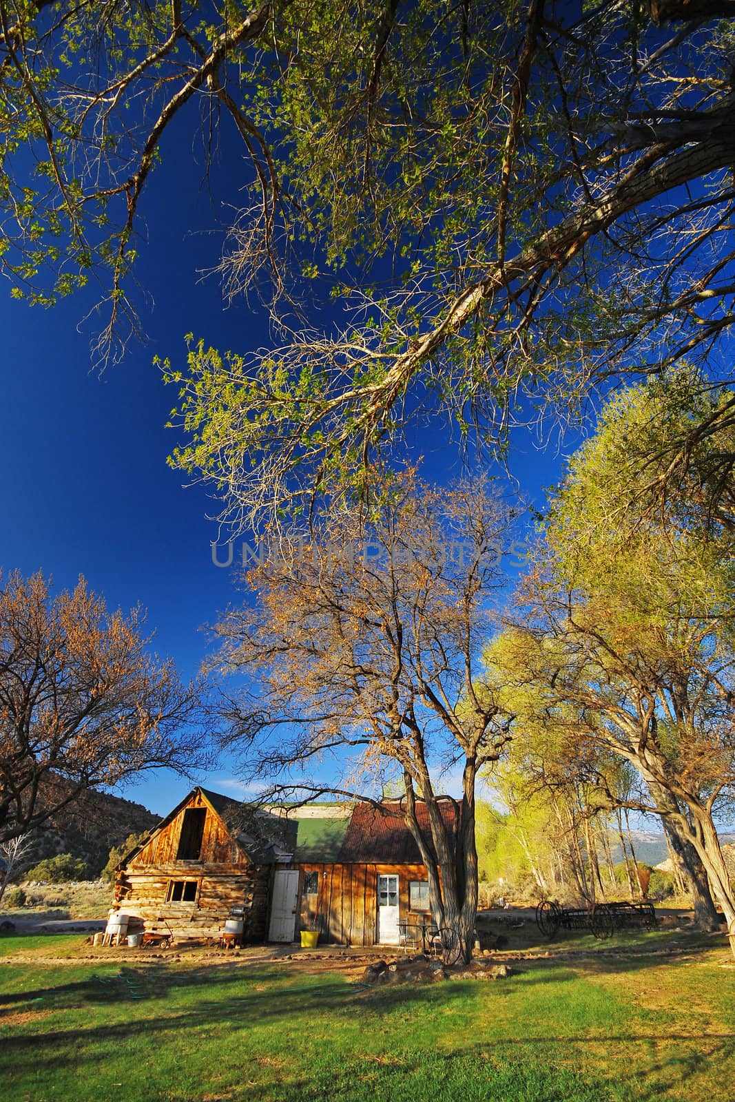 an old wood cottage surrounded by trees