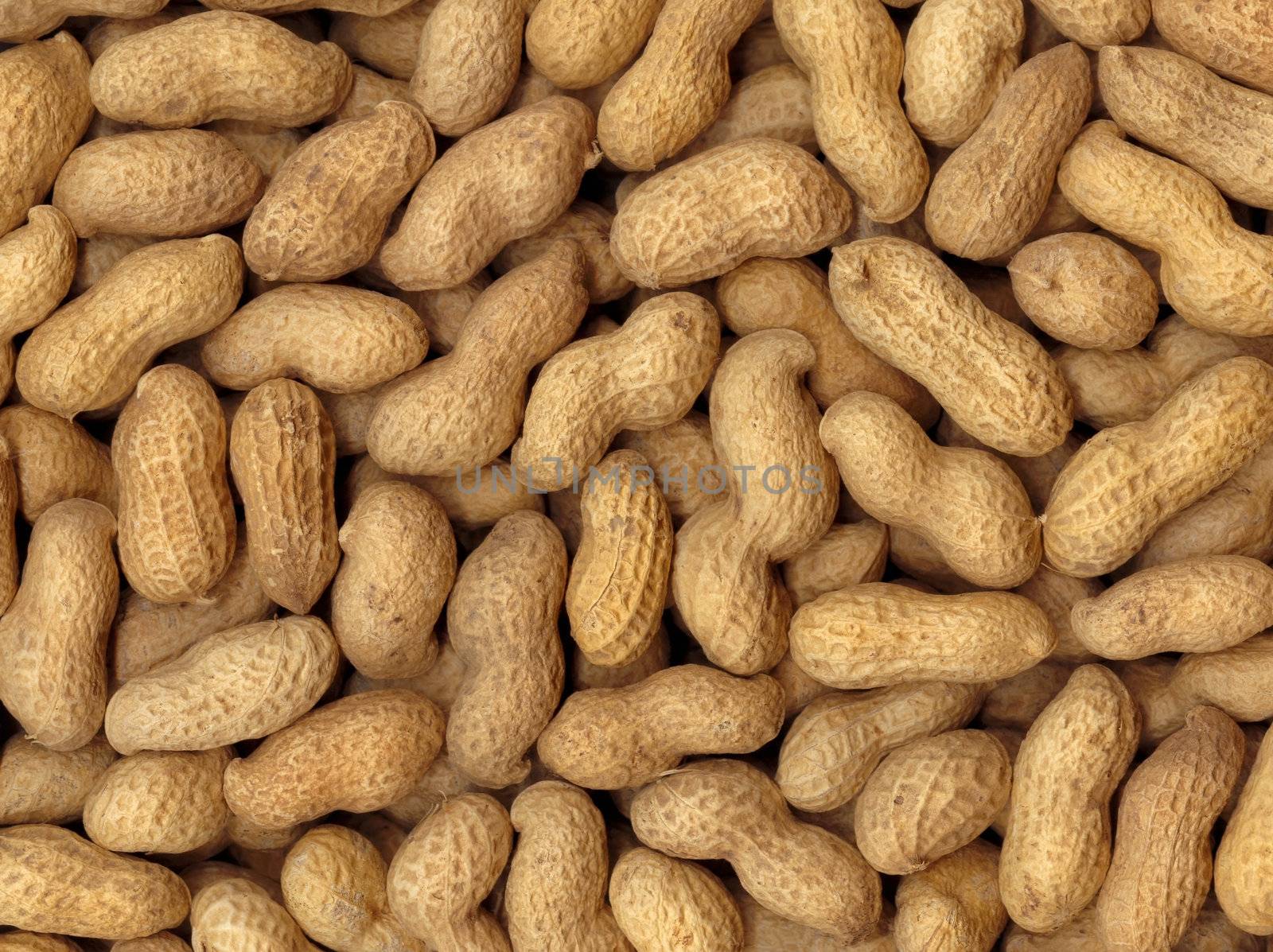 Pronounced texture of peanuts, the high accuracy of the details