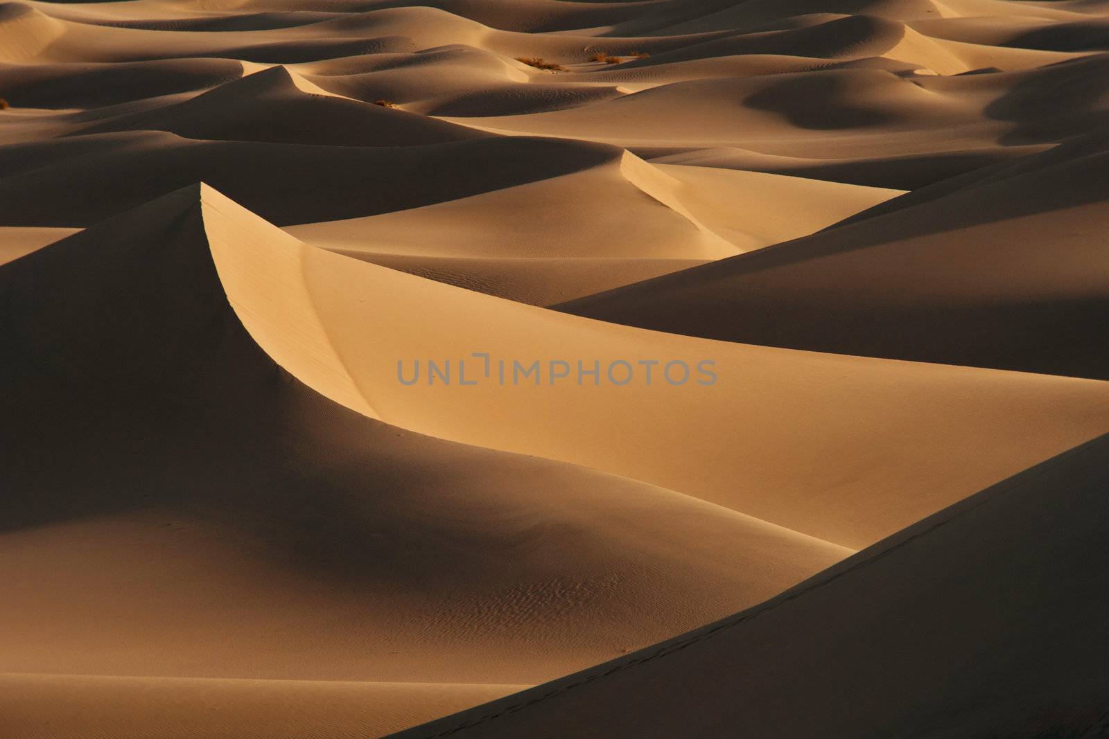 sand dunes by porbital