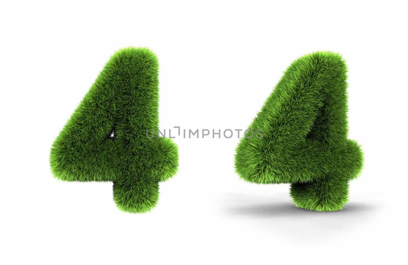 Grass number four, isolated on white background, 4