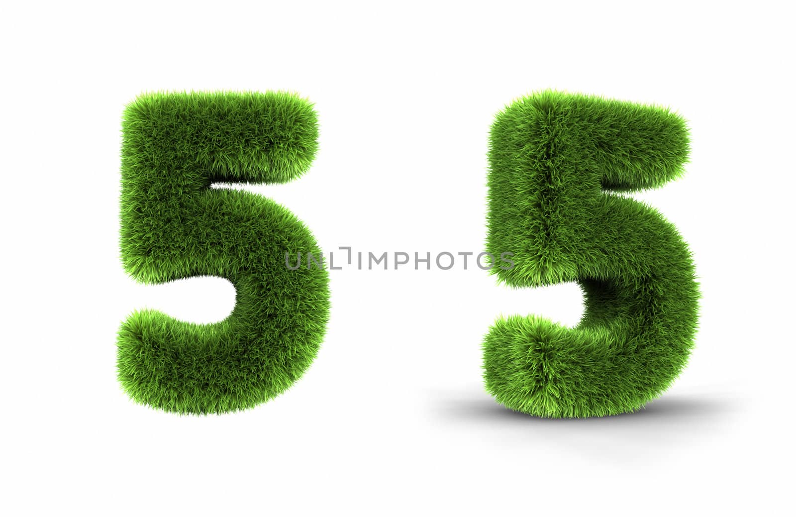 Grass number five, isolated on white background, 5