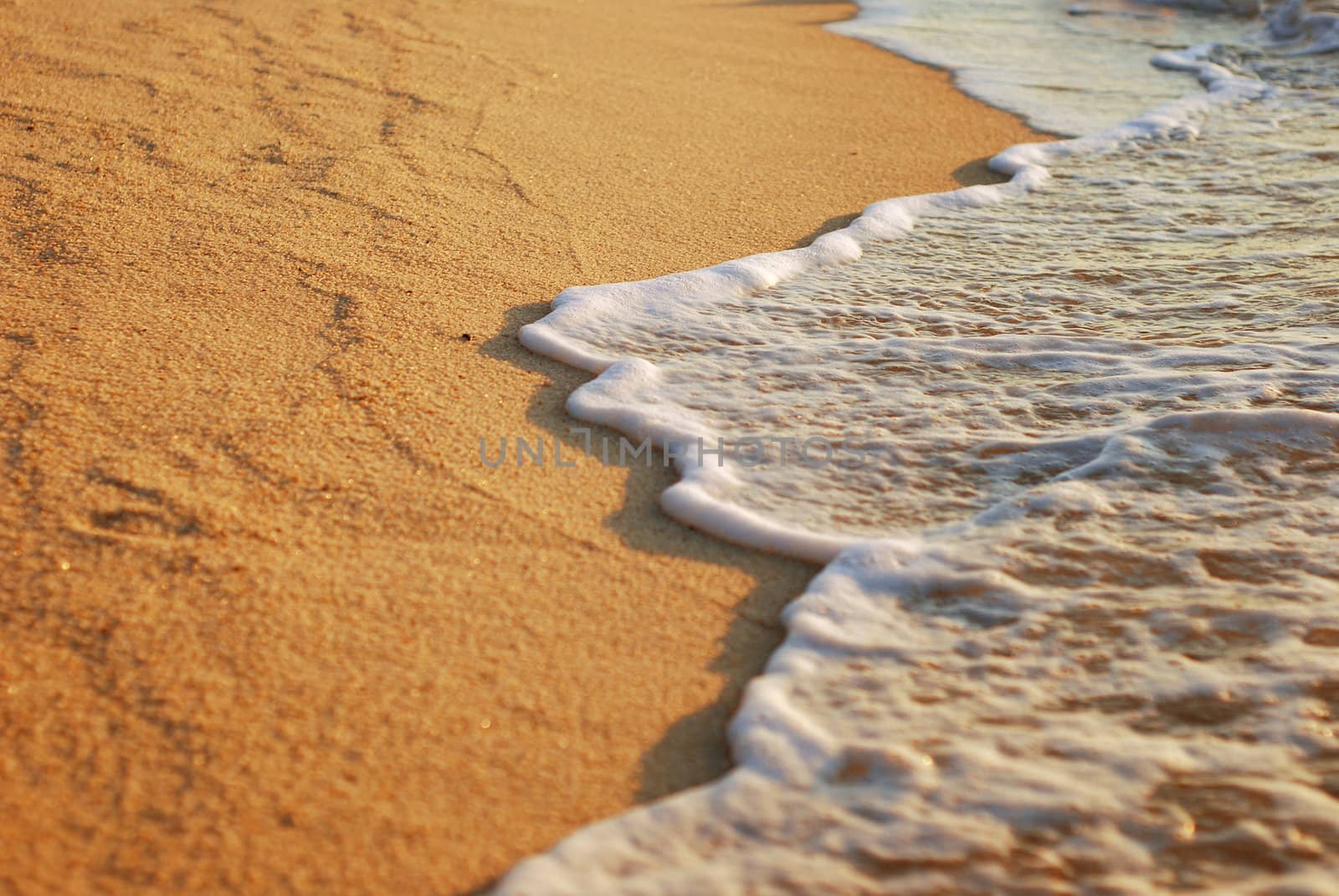 sea wave foam on sand