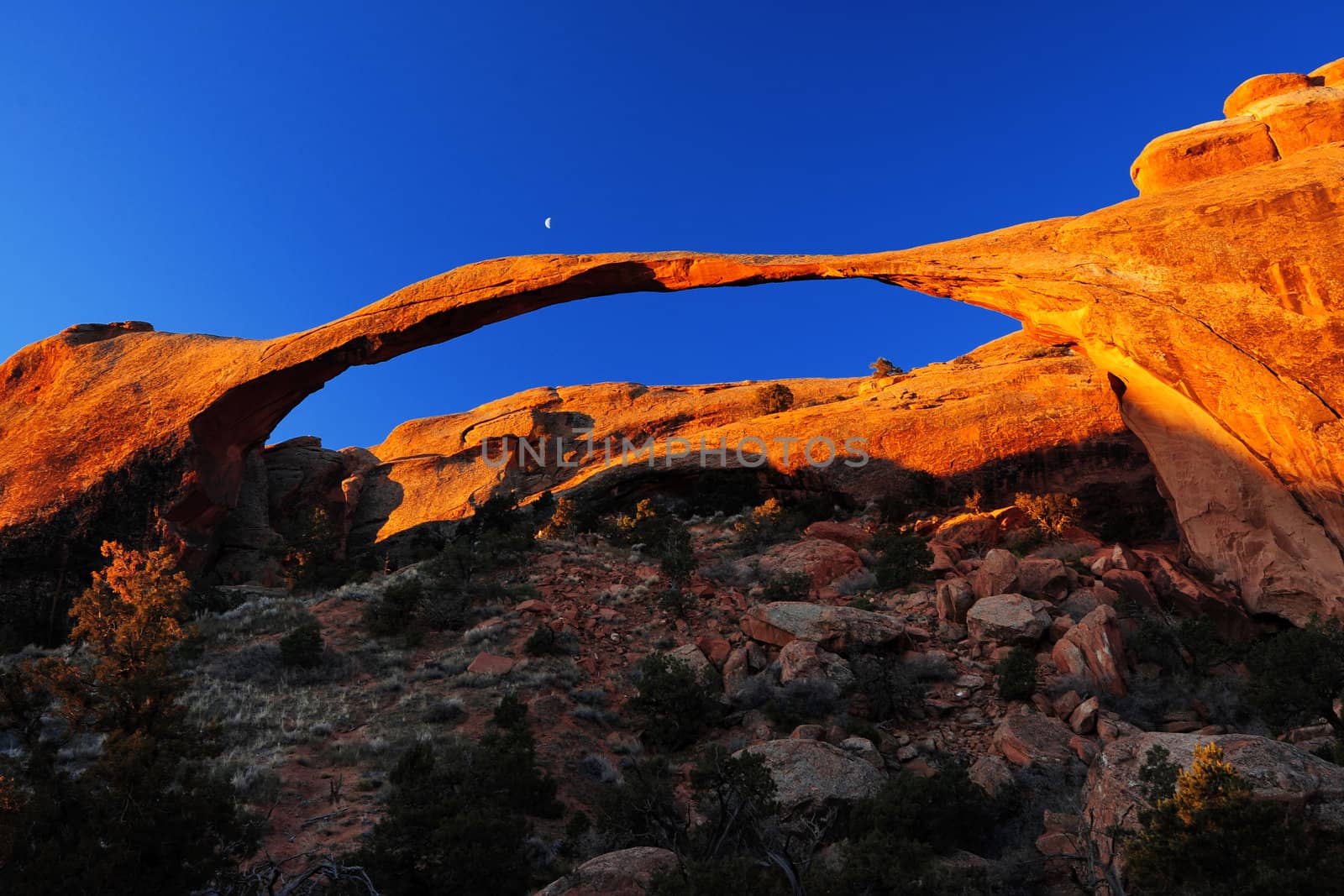 landscape arch from arches national park in utah
