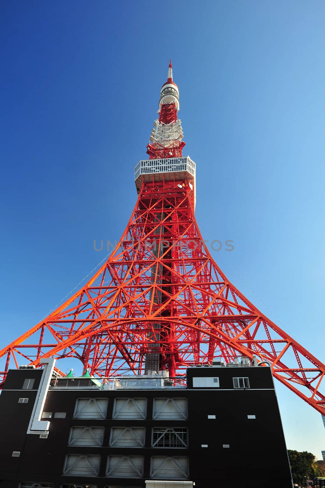 the famous red tokyo tower