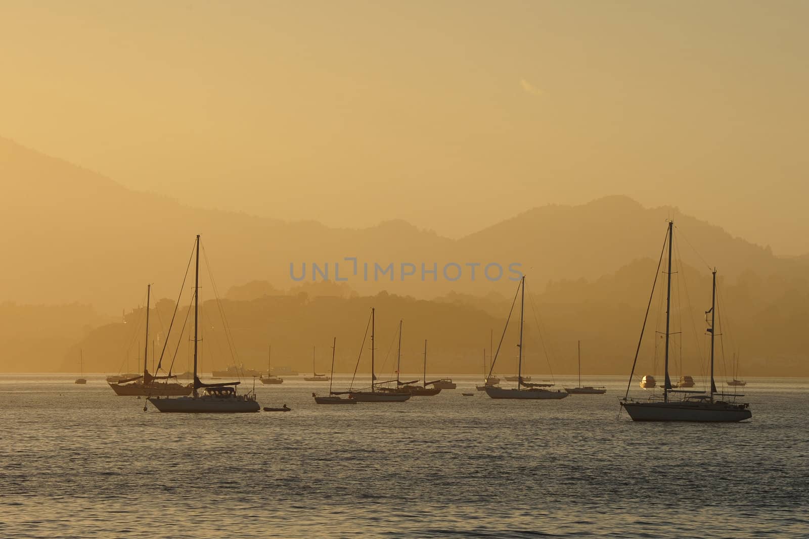 yacht in a bay near san francisco during sunset 