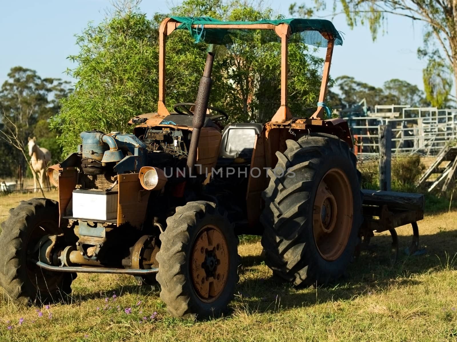 old vintage Australian tractor used for farm work in agriculture in Australia