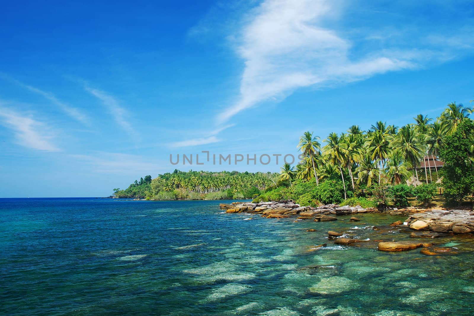 a rock beach from Thailand with coconut tree