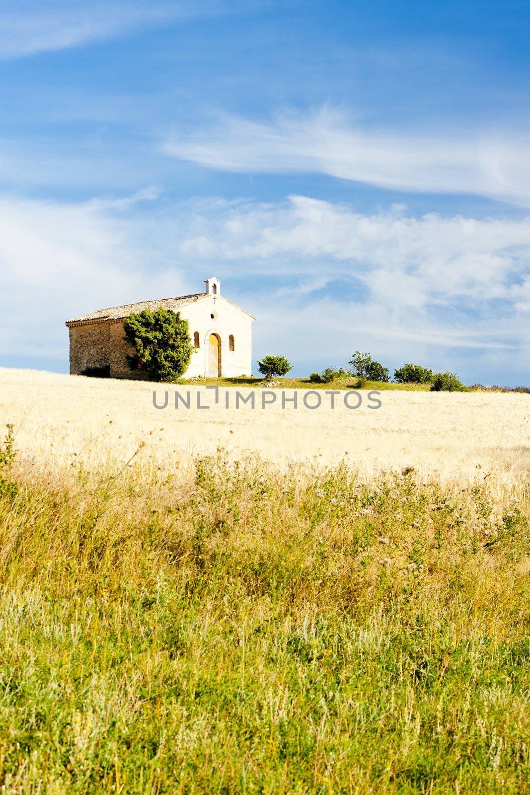 chapel with grain field, Plateau de Valensole, Provence, France
