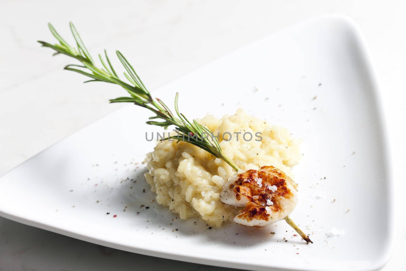 grilled Saint Jacques mollusc on rosemary needle with risotto by phbcz