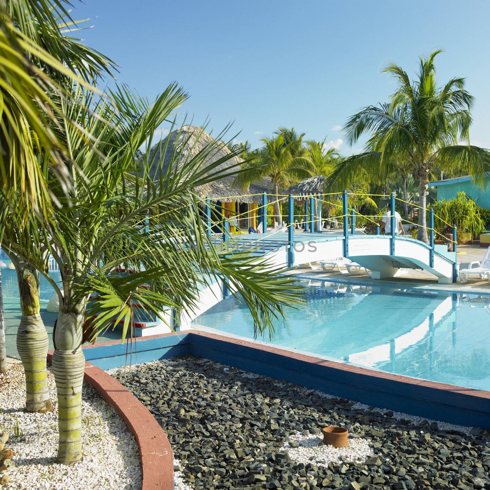 hotel's swimming pool, Cayo Coco, Cuba by phbcz