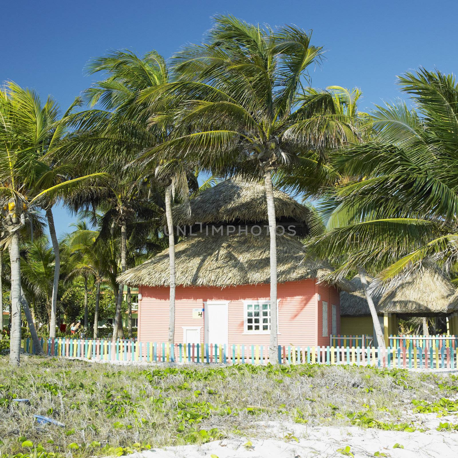 Cayo Coco, Cuba by phbcz