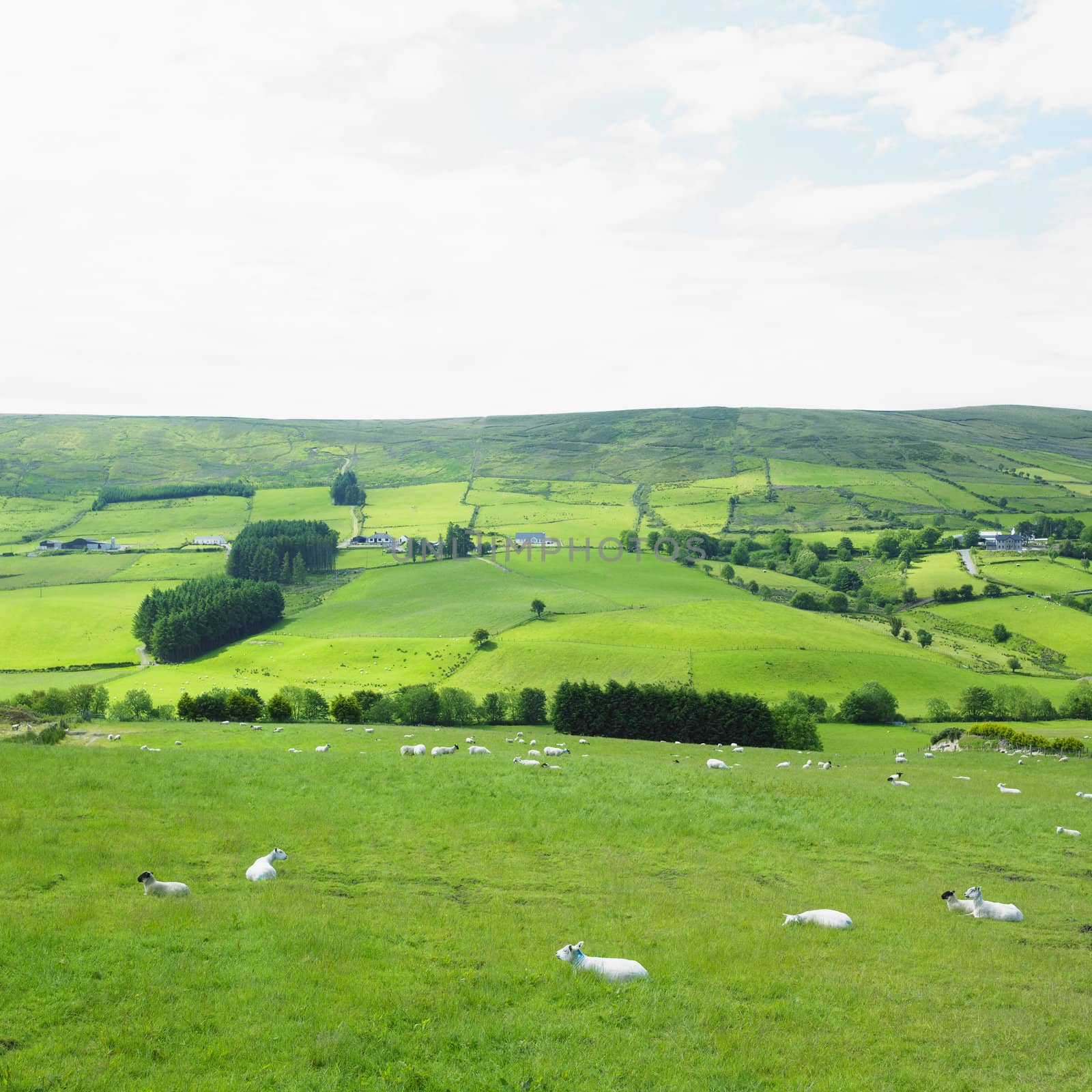 Sperrin Mountains, County Tyrone, Northern Ireland