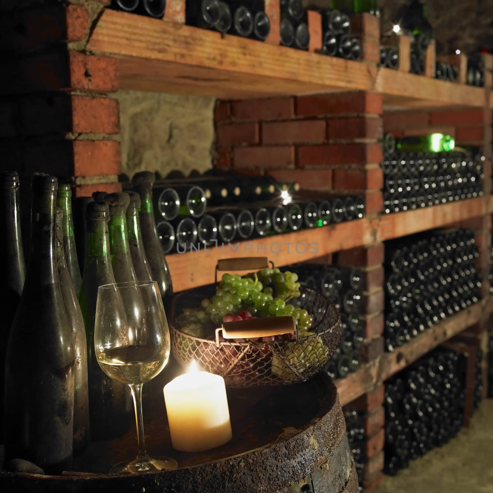 wine cellar, Bily sklep rodiny Adamkovy, Chvalovice, Czech Republic