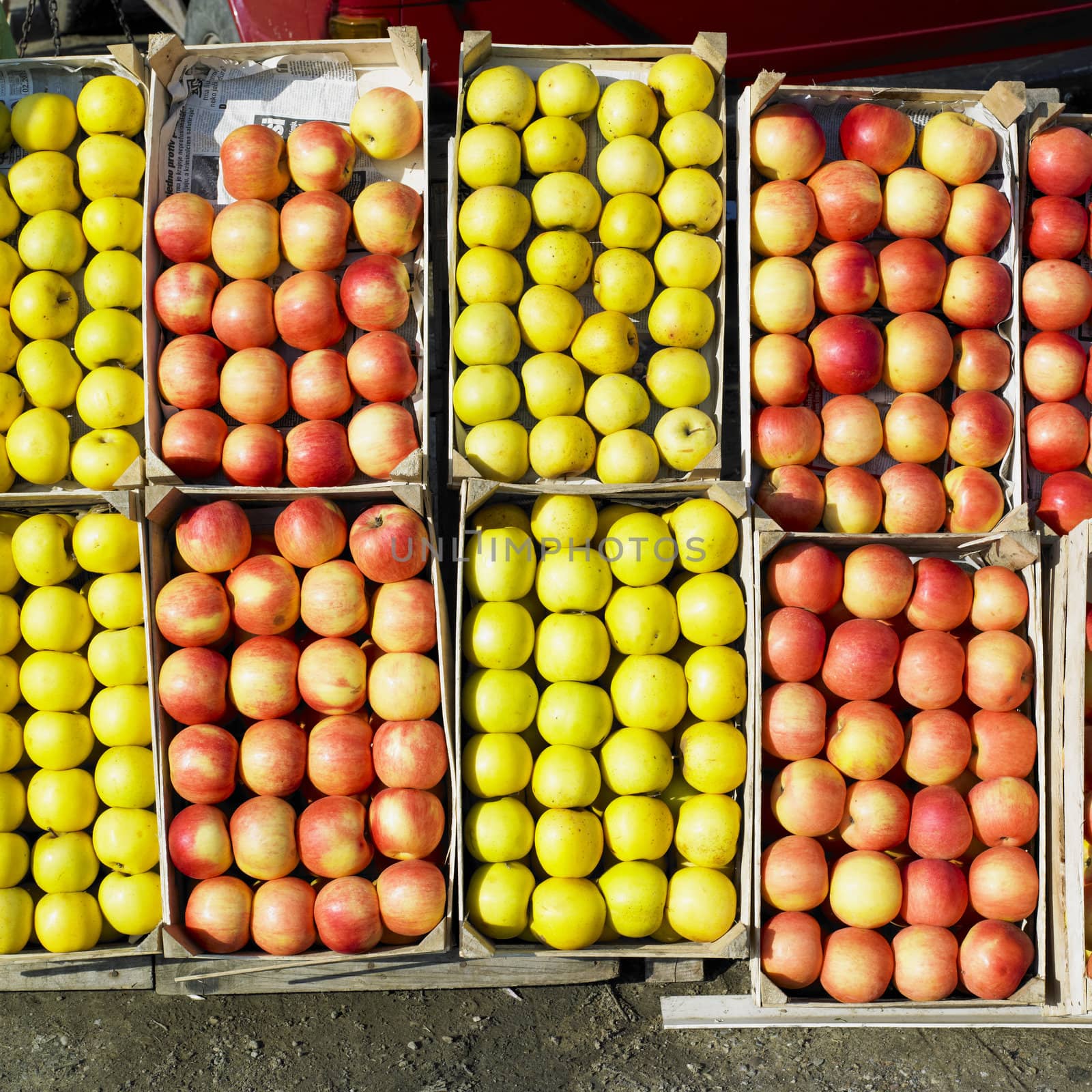 apples, Serbia by phbcz