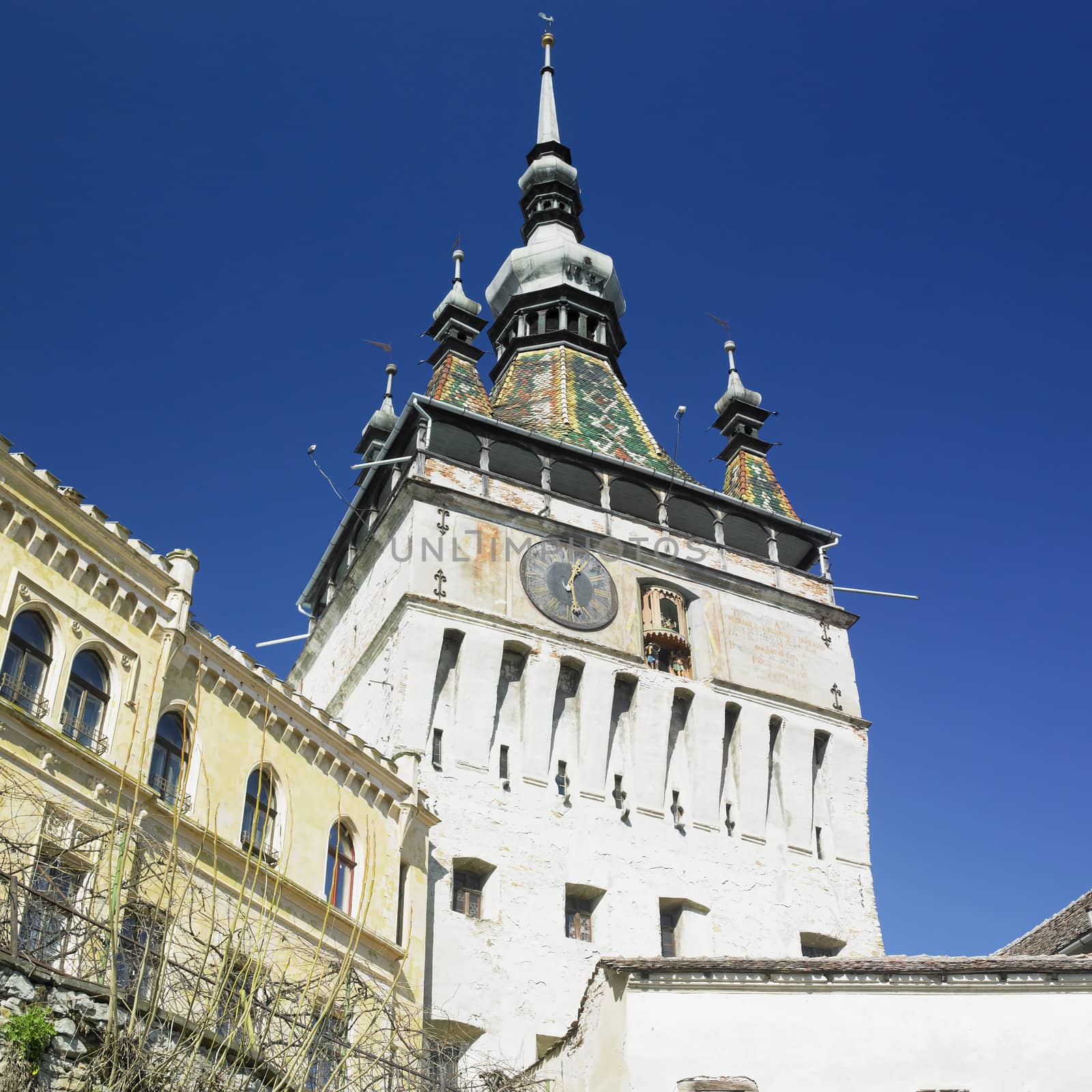 Tower of the Clock, Sighisoara, Transylvanie, Romania by phbcz