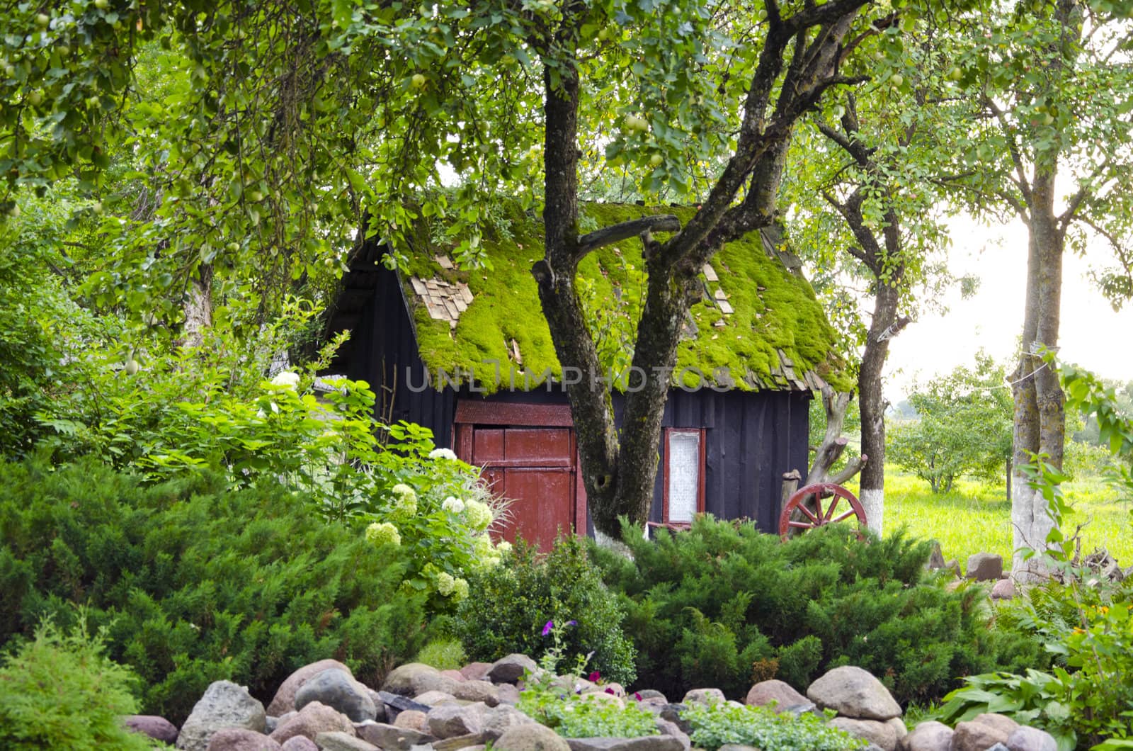 Old retro garden house mossy roof in park surrounded by plants and flowers background. Romantic view.