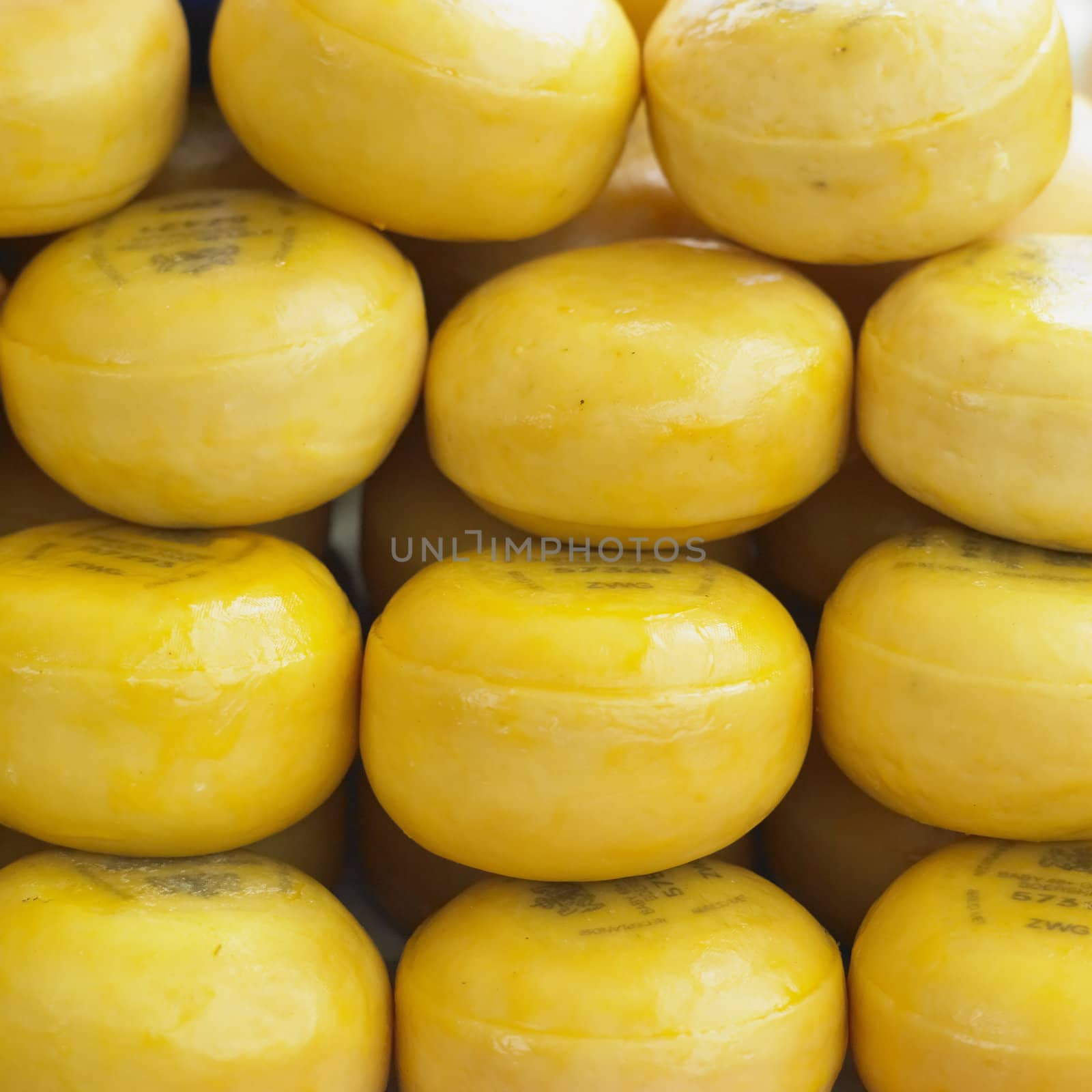 cheese market, Alkmaar, Netherlands