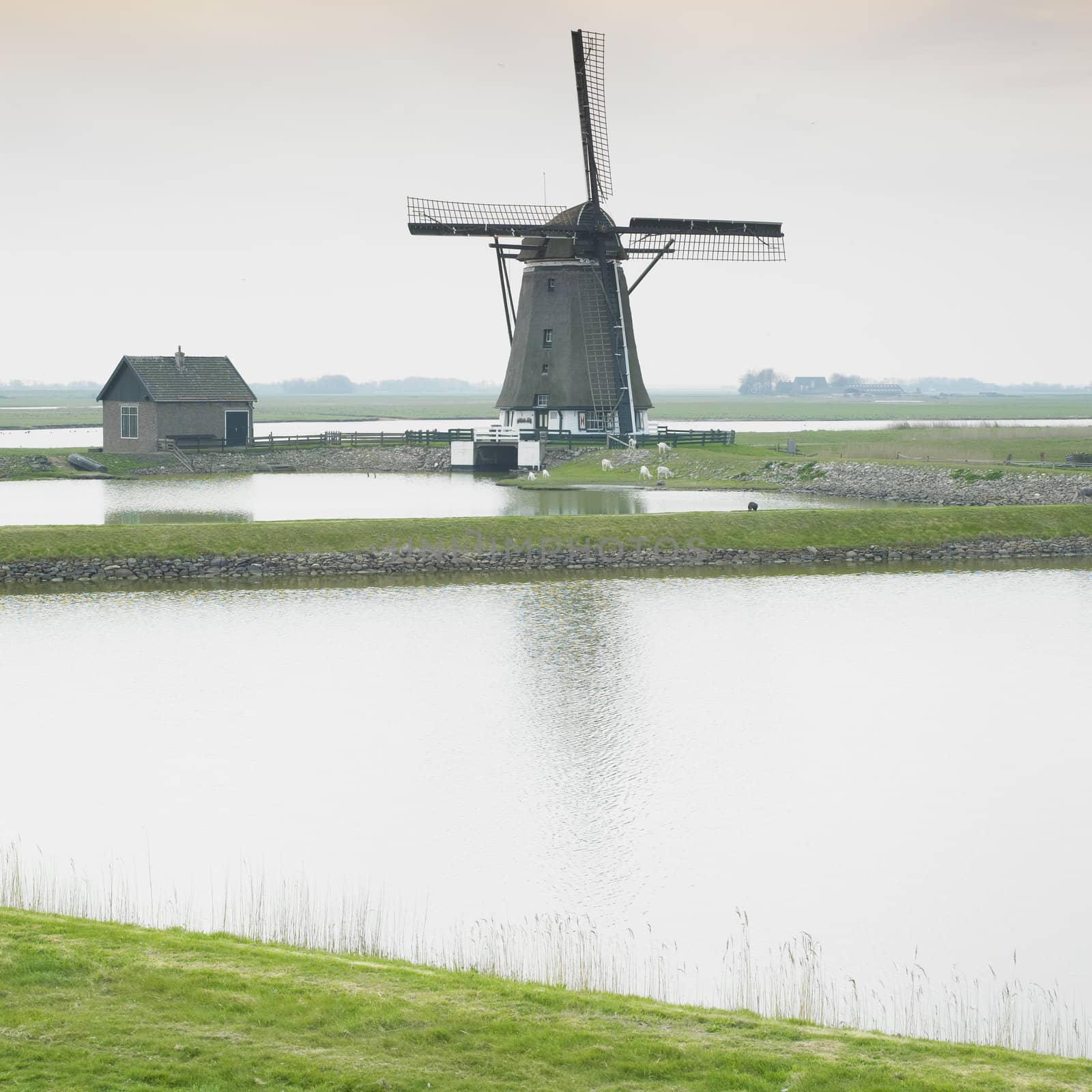 windmill, Texel Island, Netherlands by phbcz