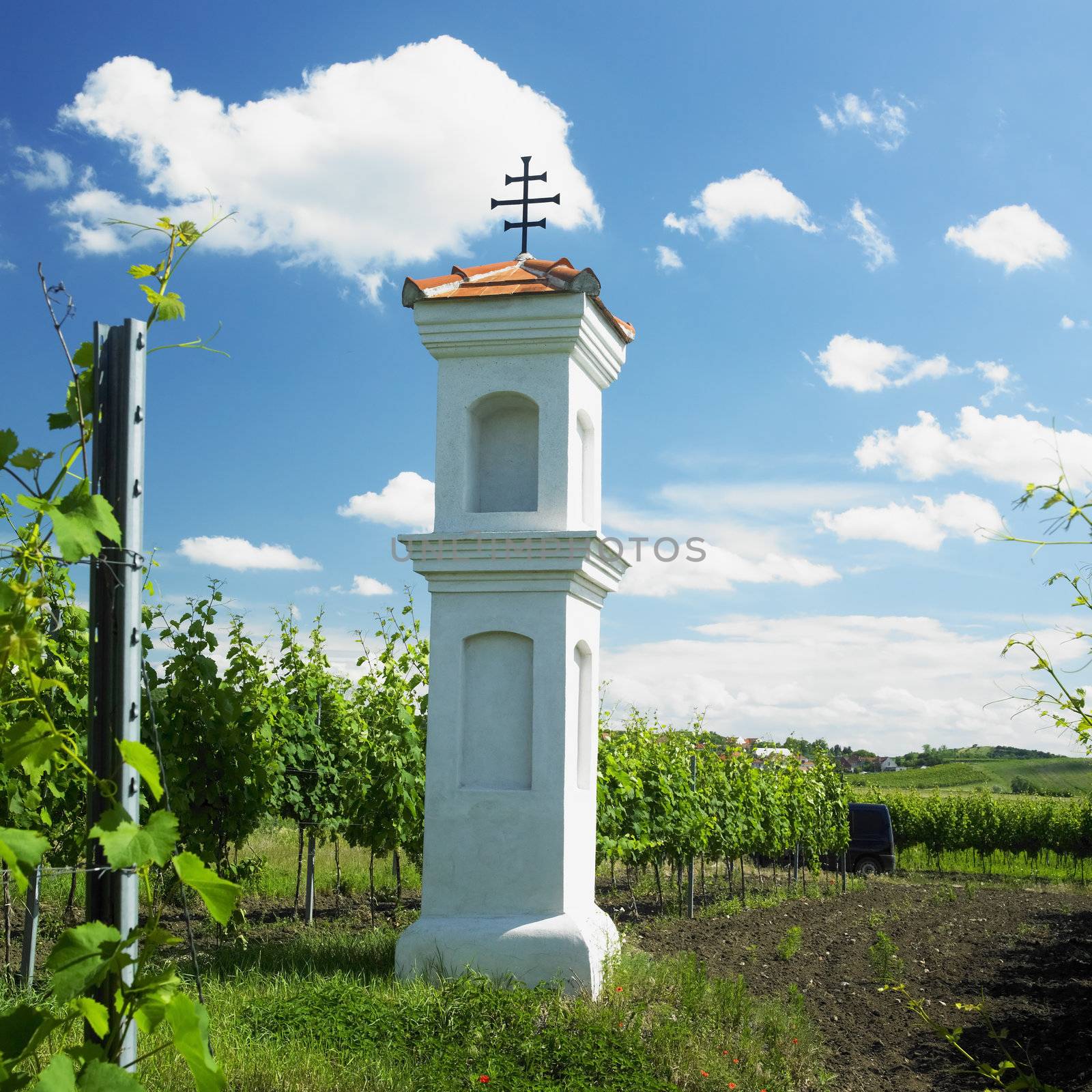 village chapel with wineyard near Perna, Czech Republic