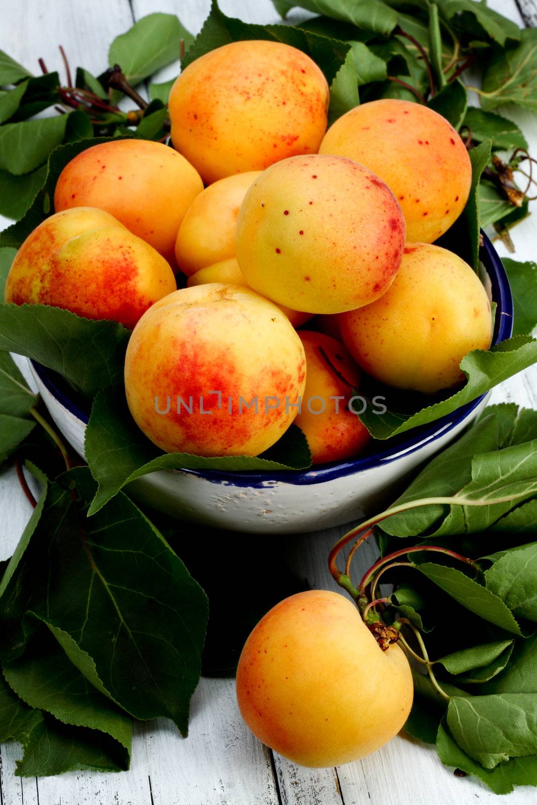 italian fresh apricot on a bowl
