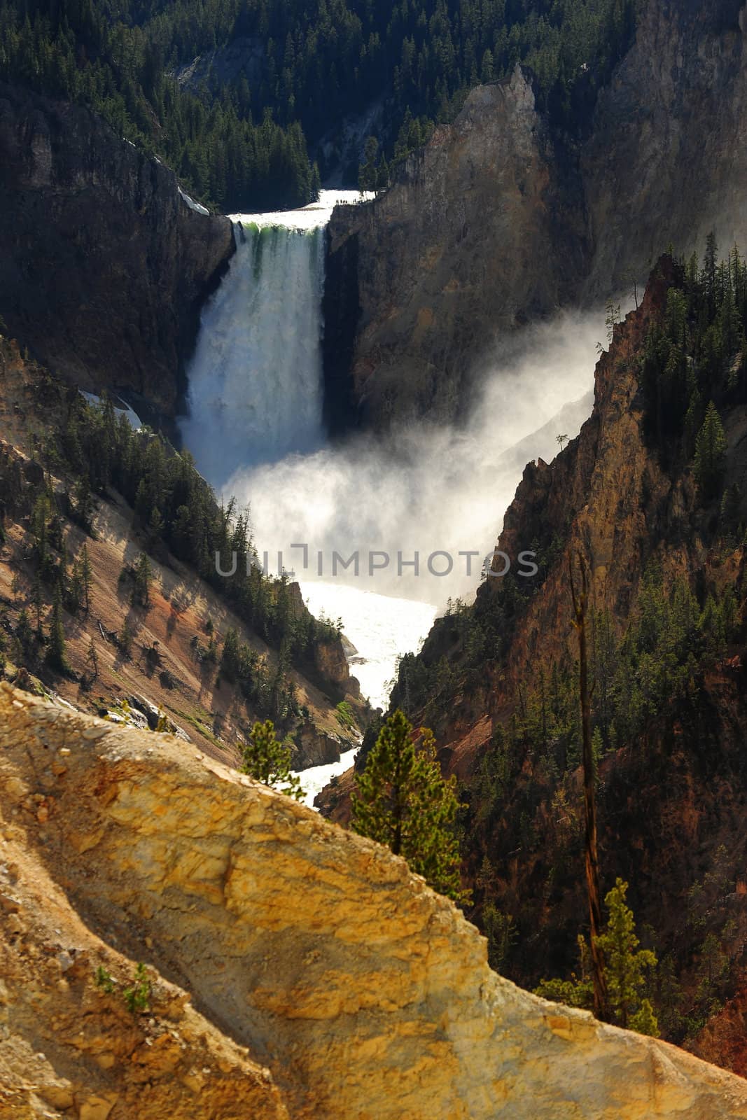 A waterfall sits in the Yellowstone Canyon