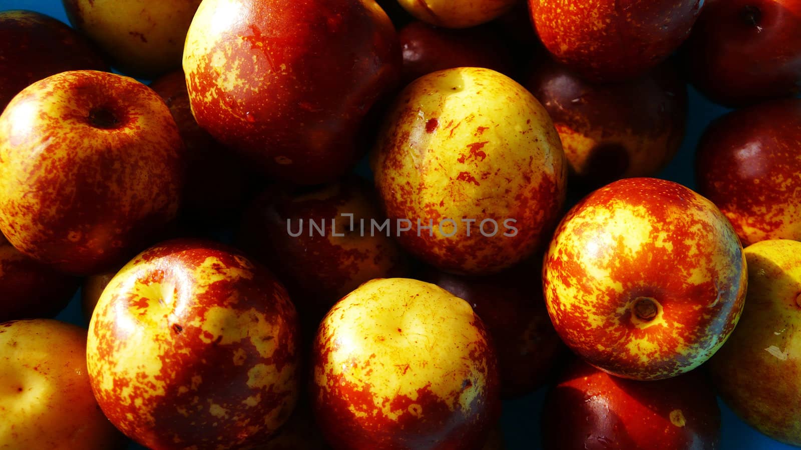 Pile of fresh date fruits in the autumn