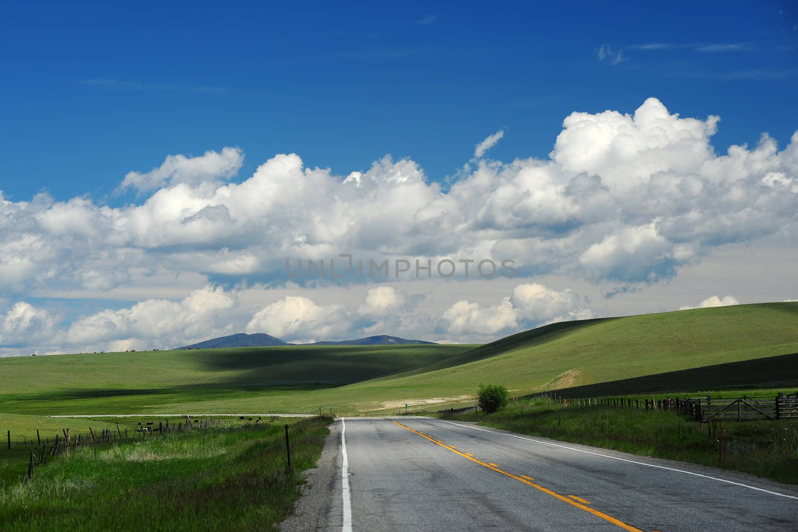 a road in grass hill from Montana